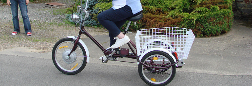 Tricycle pour adulte