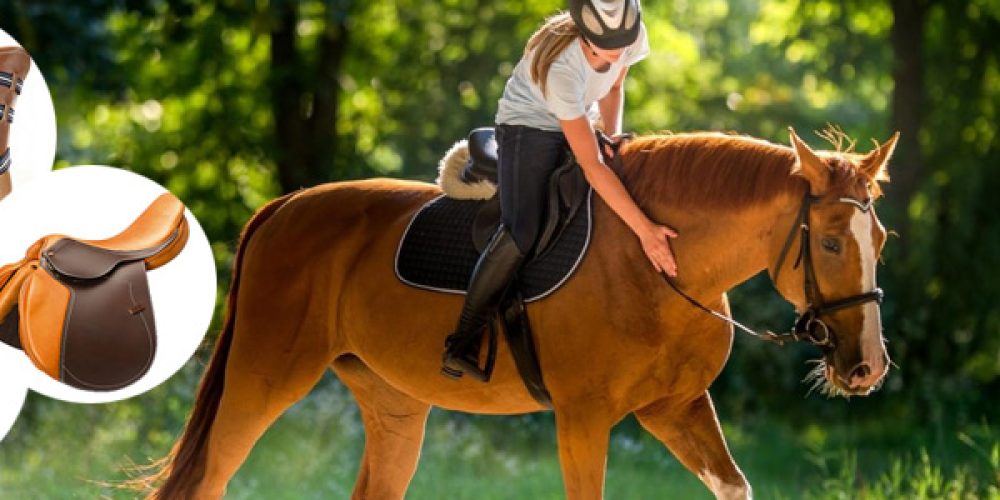 Trouver un spécialiste de la vente de matériel d’équitation et d’équipement pour chevaux
