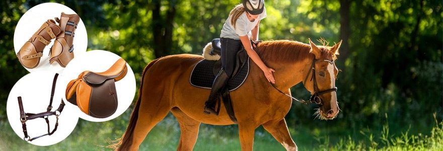 Trouver un spécialiste de la vente de matériel d&rsquo;équitation et d&rsquo;équipement pour chevaux